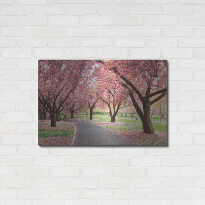 Luxe Metal Art 'Cherry Parade' by Katherine Gendreau, Metal Wall Art,36x24