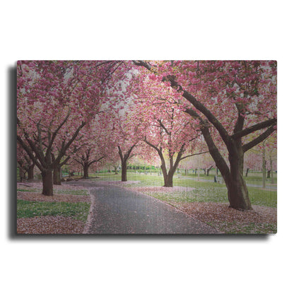 Luxe Metal Art 'Cherry Parade' by Katherine Gendreau, Metal Wall Art