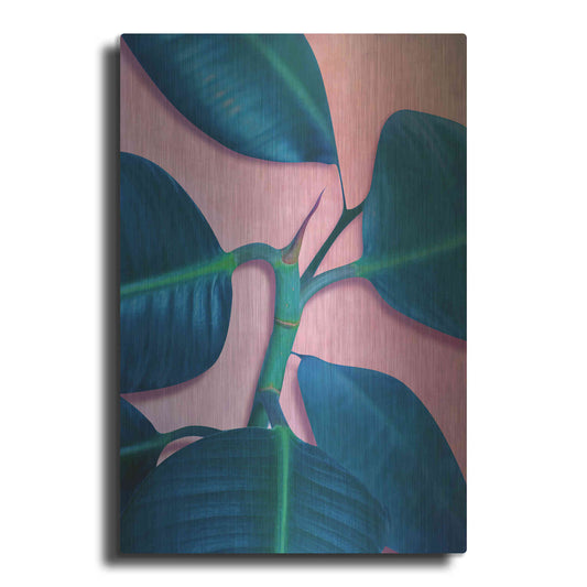 Luxe Metal Art 'Ficus Elastica' by Mark Ashkenazi, Metal Wall Art