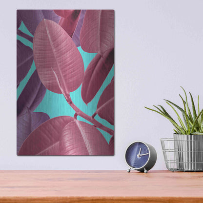 Luxe Metal Art 'Ficus Elastica 4' by Mark Ashkenazi, Metal Wall Art,12x16