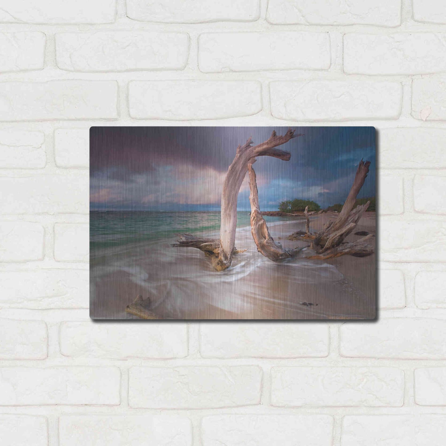 Luxe Metal Art 'Driftwood Sunset' by Katherine Gendreau, Metal Wall Art,16x12