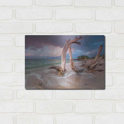 Luxe Metal Art 'Driftwood Sunset' by Katherine Gendreau, Metal Wall Art,16x12