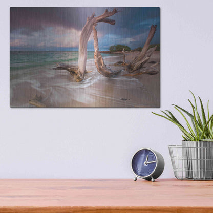 Luxe Metal Art 'Driftwood Sunset' by Katherine Gendreau, Metal Wall Art,16x12