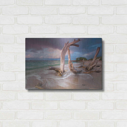 Luxe Metal Art 'Driftwood Sunset' by Katherine Gendreau, Metal Wall Art,24x16