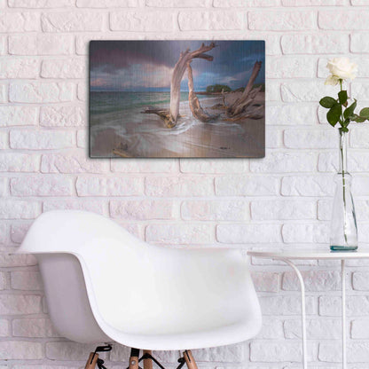 Luxe Metal Art 'Driftwood Sunset' by Katherine Gendreau, Metal Wall Art,24x16