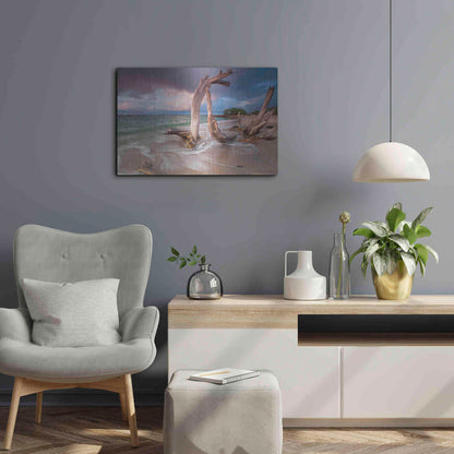 Luxe Metal Art 'Driftwood Sunset' by Katherine Gendreau, Metal Wall Art,24x16