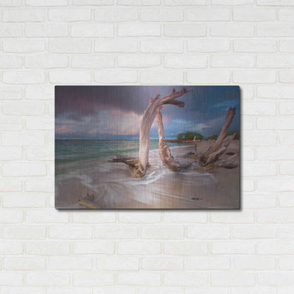 Luxe Metal Art 'Driftwood Sunset' by Katherine Gendreau, Metal Wall Art,36x24