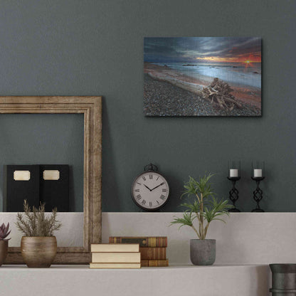 Luxe Metal Art 'Sakonnet Driftwood' by Katherine Gendreau, Metal Wall Art,16x12