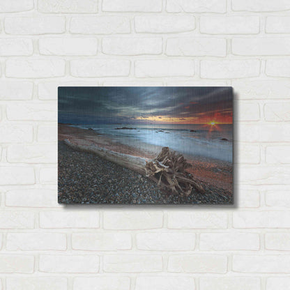 Luxe Metal Art 'Sakonnet Driftwood' by Katherine Gendreau, Metal Wall Art,24x16