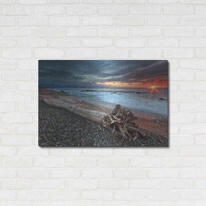 Luxe Metal Art 'Sakonnet Driftwood' by Katherine Gendreau, Metal Wall Art,36x24