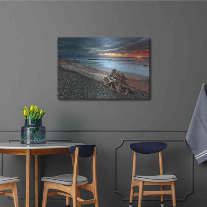 Luxe Metal Art 'Sakonnet Driftwood' by Katherine Gendreau, Metal Wall Art,36x24