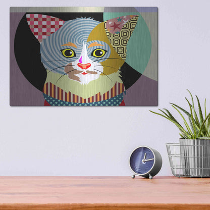 Luxe Metal Art 'Spectrum Cat' by Lanre Adefioyue, Metal Wall Art,16x12