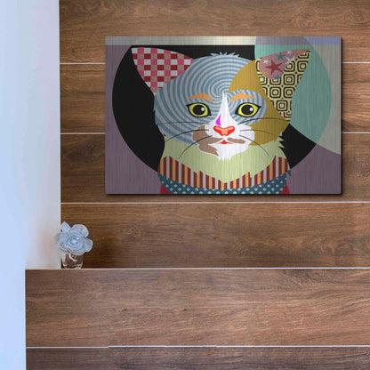 Luxe Metal Art 'Spectrum Cat' by Lanre Adefioyue, Metal Wall Art,16x12