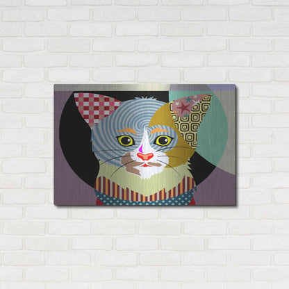 Luxe Metal Art 'Spectrum Cat' by Lanre Adefioyue, Metal Wall Art,36x24