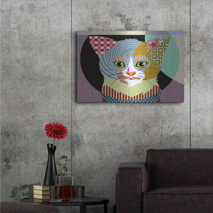 Luxe Metal Art 'Spectrum Cat' by Lanre Adefioyue, Metal Wall Art,36x24