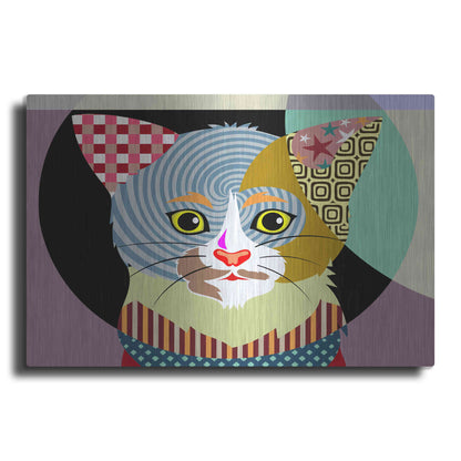 Luxe Metal Art 'Spectrum Cat' by Lanre Adefioyue, Metal Wall Art
