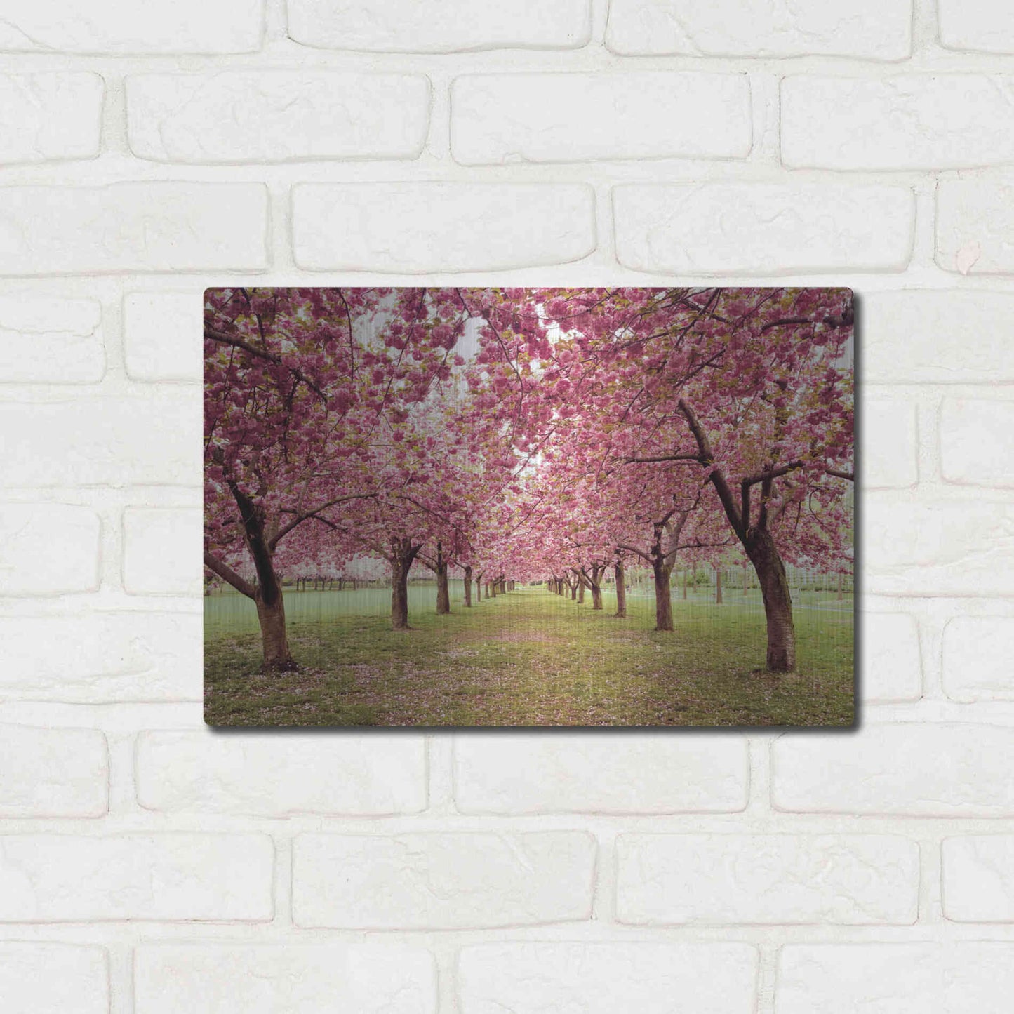 Luxe Metal Art 'Hall of Cherries' by Katherine Gendreau, Metal Wall Art,16x12