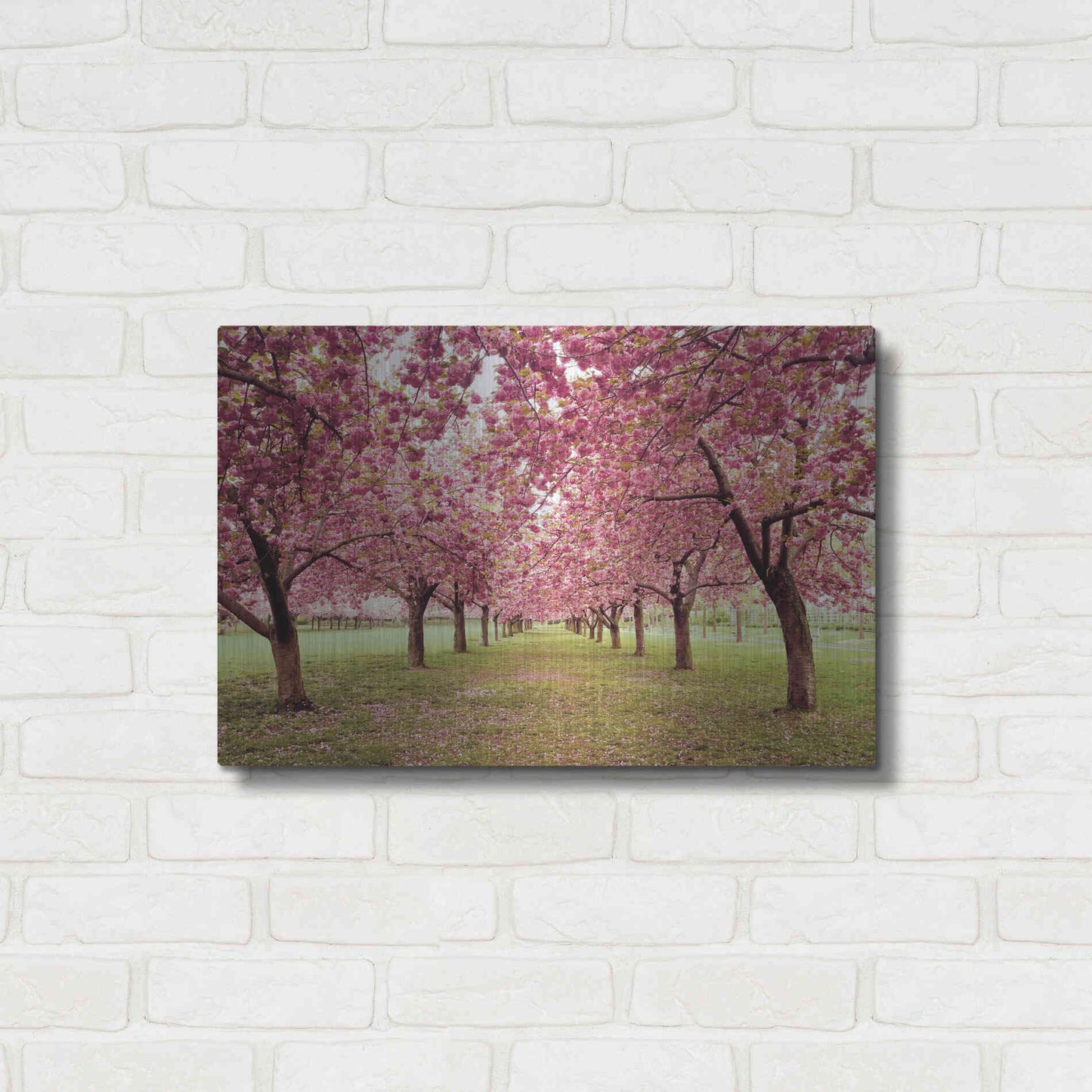 Luxe Metal Art 'Hall of Cherries' by Katherine Gendreau, Metal Wall Art,24x16