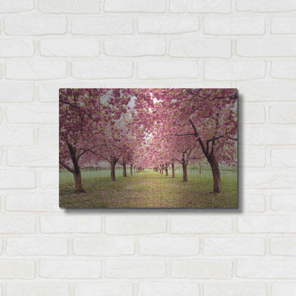 Luxe Metal Art 'Hall of Cherries' by Katherine Gendreau, Metal Wall Art,24x16