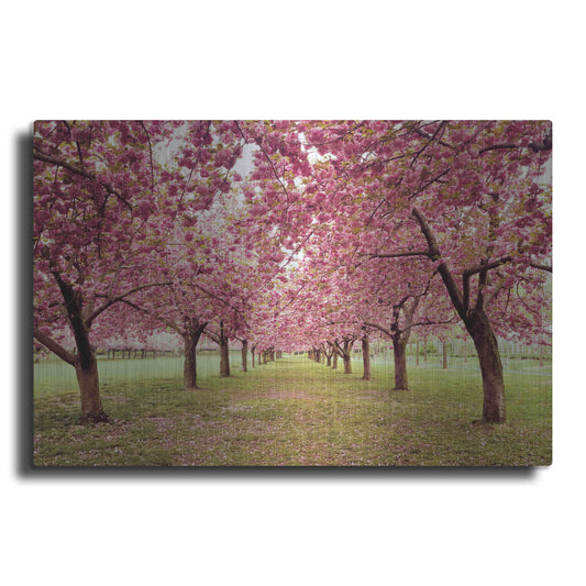 Luxe Metal Art 'Hall of Cherries' by Katherine Gendreau, Metal Wall Art