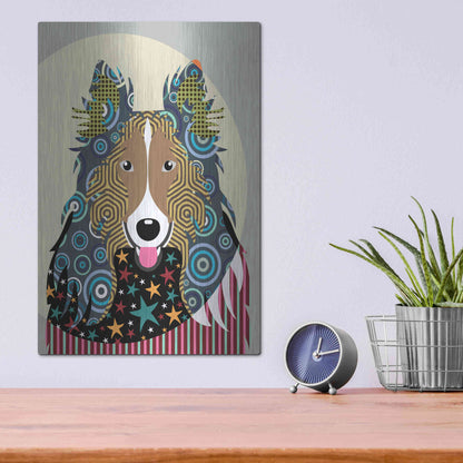 Luxe Metal Art 'Rough Collie' by Lanre Adefioyue, Metal Wall Art,12x16
