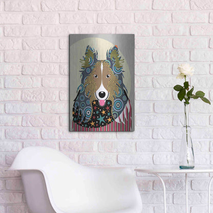 Luxe Metal Art 'Rough Collie' by Lanre Adefioyue, Metal Wall Art,16x24