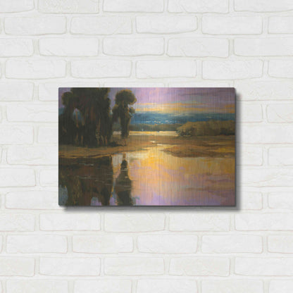 Luxe Metal Art 'Peaceful 1' by Allayn Stevens, Metal Wall Art,24x16