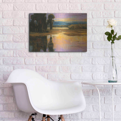 Luxe Metal Art 'Peaceful 1' by Allayn Stevens, Metal Wall Art,24x16