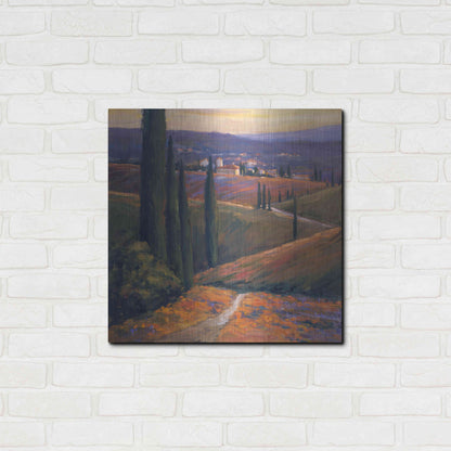 Luxe Metal Art 'Afternoon 1' by Allayn Stevens, Metal Wall Art,24x24