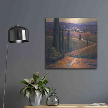 Luxe Metal Art 'Afternoon 1' by Allayn Stevens, Metal Wall Art,24x24