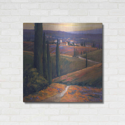 Luxe Metal Art 'Afternoon 1' by Allayn Stevens, Metal Wall Art,36x36