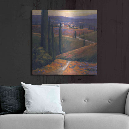 Luxe Metal Art 'Afternoon 1' by Allayn Stevens, Metal Wall Art,36x36