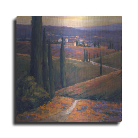 Luxe Metal Art 'Afternoon 1' by Allayn Stevens, Metal Wall Art