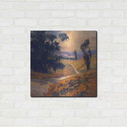 Luxe Metal Art 'Afternoon 2' by Allayn Stevens, Metal Wall Art,24x24