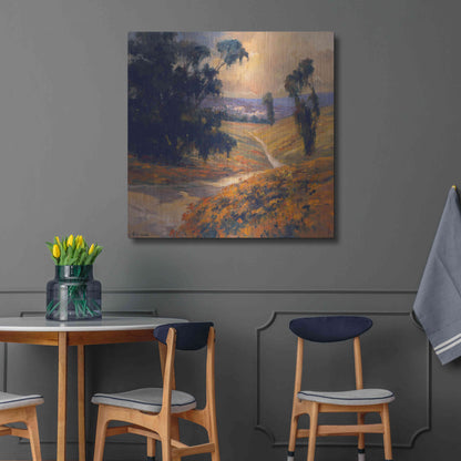 Luxe Metal Art 'Afternoon 2' by Allayn Stevens, Metal Wall Art,36x36