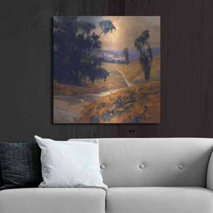 Luxe Metal Art 'Afternoon 2' by Allayn Stevens, Metal Wall Art,36x36