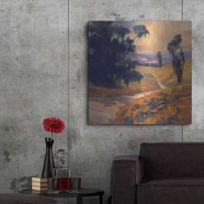 Luxe Metal Art 'Afternoon 2' by Allayn Stevens, Metal Wall Art,36x36