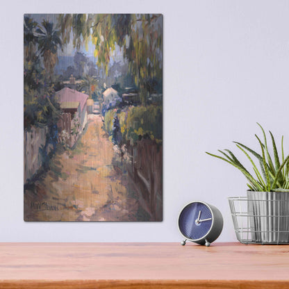 Luxe Metal Art 'Coastal Path' by Allayn Stevens, Metal Wall Art,12x16