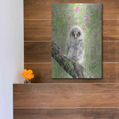 Luxe Metal Art 'Owlet' by River Han, Metal Wall Art,12x16