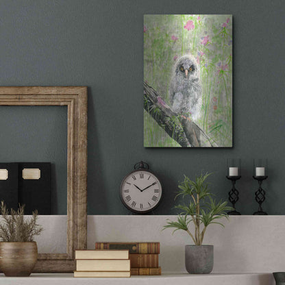 Luxe Metal Art 'Owlet' by River Han, Metal Wall Art,12x16