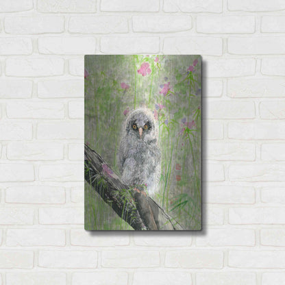 Luxe Metal Art 'Owlet' by River Han, Metal Wall Art,16x24