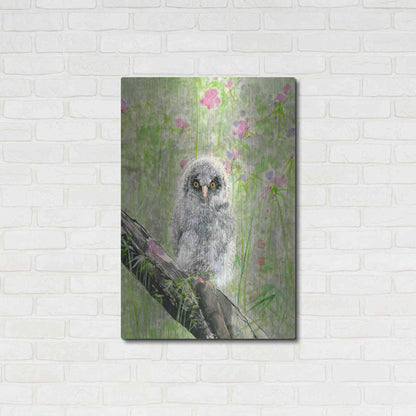 Luxe Metal Art 'Owlet' by River Han, Metal Wall Art,24x36