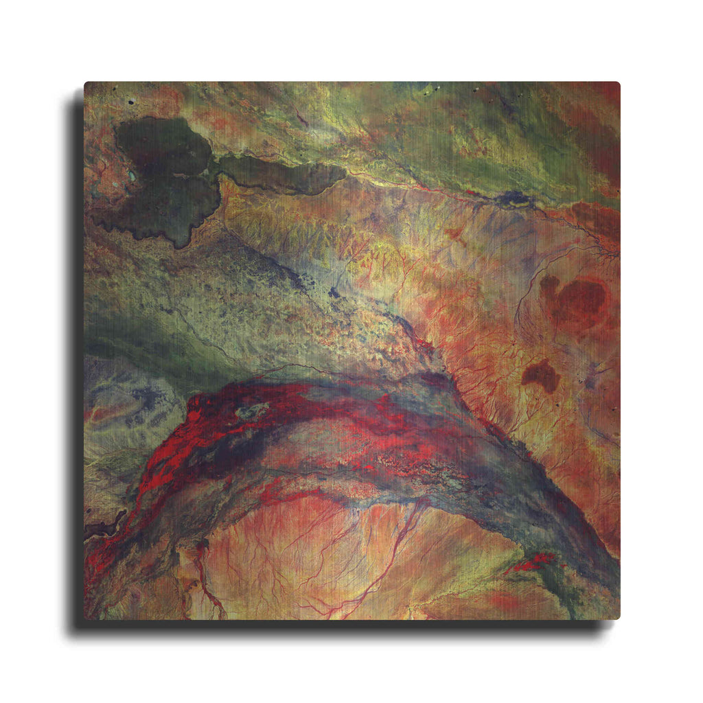Luxe Metal Art 'Earth As Art: The Lorian Swamp' Metal Wall Art