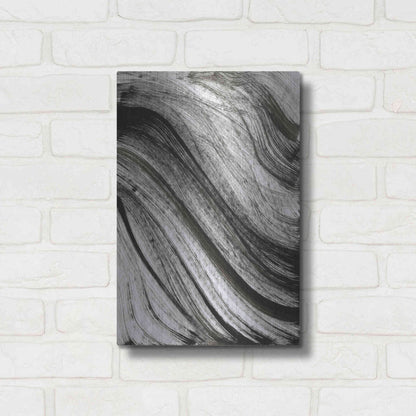 Luxe Metal Art 'Avalanche' Metal Wall Art,12x16