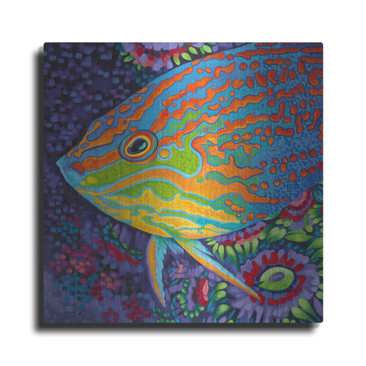 Luxe Metal Art 'Brilliant Tropical Fish I' by Carolee Vitaletti Metal Wall Art