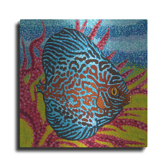 Luxe Metal Art 'Brilliant Tropical Fish II' by Carolee Vitaletti Metal Wall Art