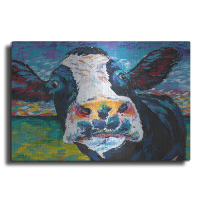 Luxe Metal Art 'Curious Cow II' by Carolee Vitaletti Metal Wall Art