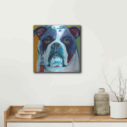 Luxe Metal Art 'Cute Pups II' by Carolee Vitaletti Metal Wall Art,12x12