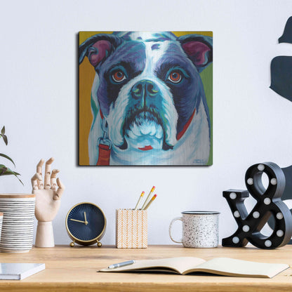 Luxe Metal Art 'Cute Pups II' by Carolee Vitaletti Metal Wall Art,12x12