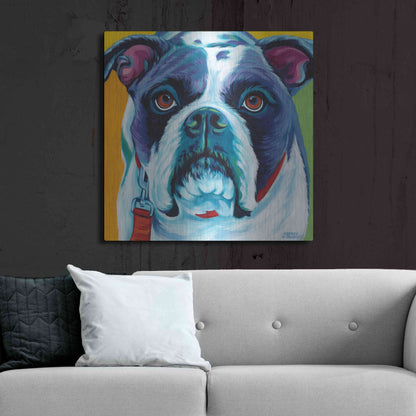 Luxe Metal Art 'Cute Pups II' by Carolee Vitaletti Metal Wall Art,36x36
